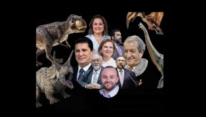 Velha política e os velhacos em torno de Maria do Carmo
